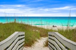 A10 Endless Summer - Image 5