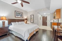 4207 Bahia - Image 2