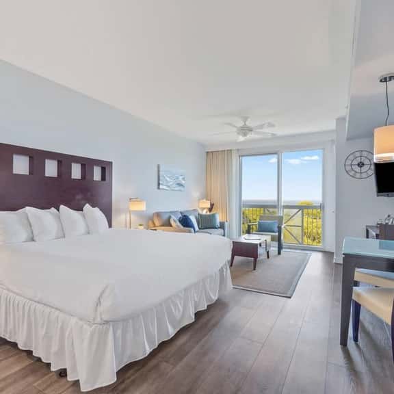 5706 Elation - Image 1
